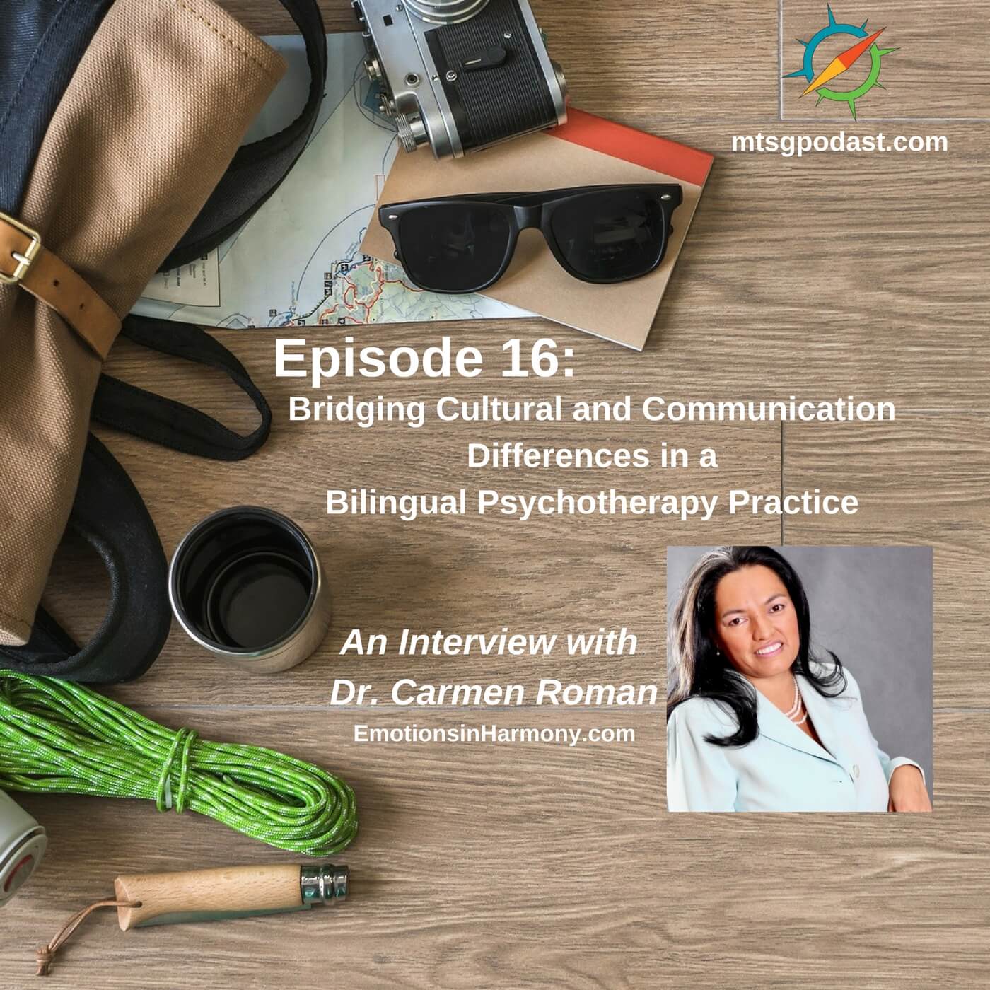 Bridging Cultural and Communication Differences in a Bilingual Psychotherapy Practice An