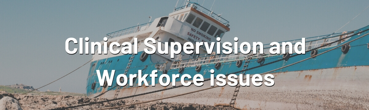 Clinical Supervision and Workforce issues
