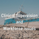 Clinical Supervision and Workforce issues