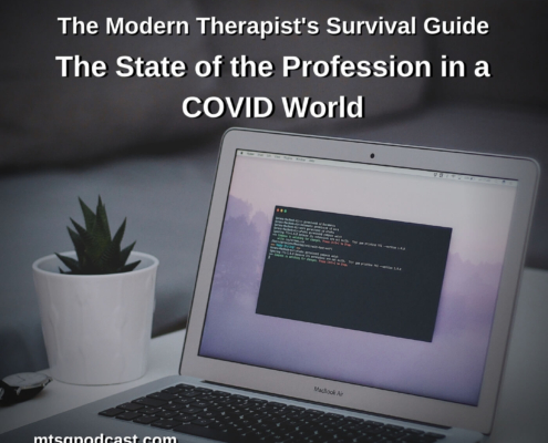 Photo ID: A laptop and a plant on a desk woth text overlay "Episode 213: The State of the Profession in a COVID World"