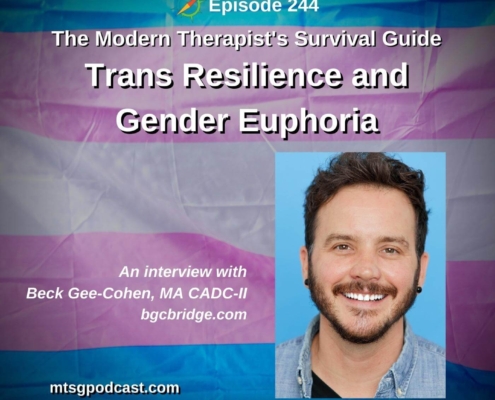 Picture of trans pride flag. Text over the image reads Working with Trans Clients: Trans Resilience and Gender Euphoria An interview with Beck Gee-Cohen, MA CADC-II
