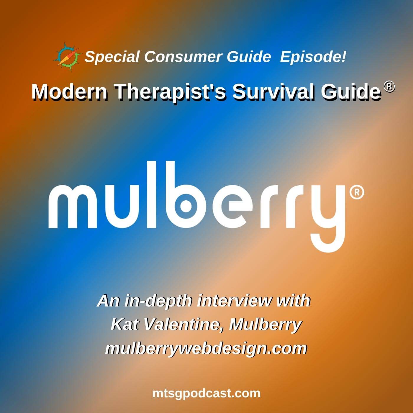 Special Episode Modern Therapist’s Consumer Guide on Mulberry  Design