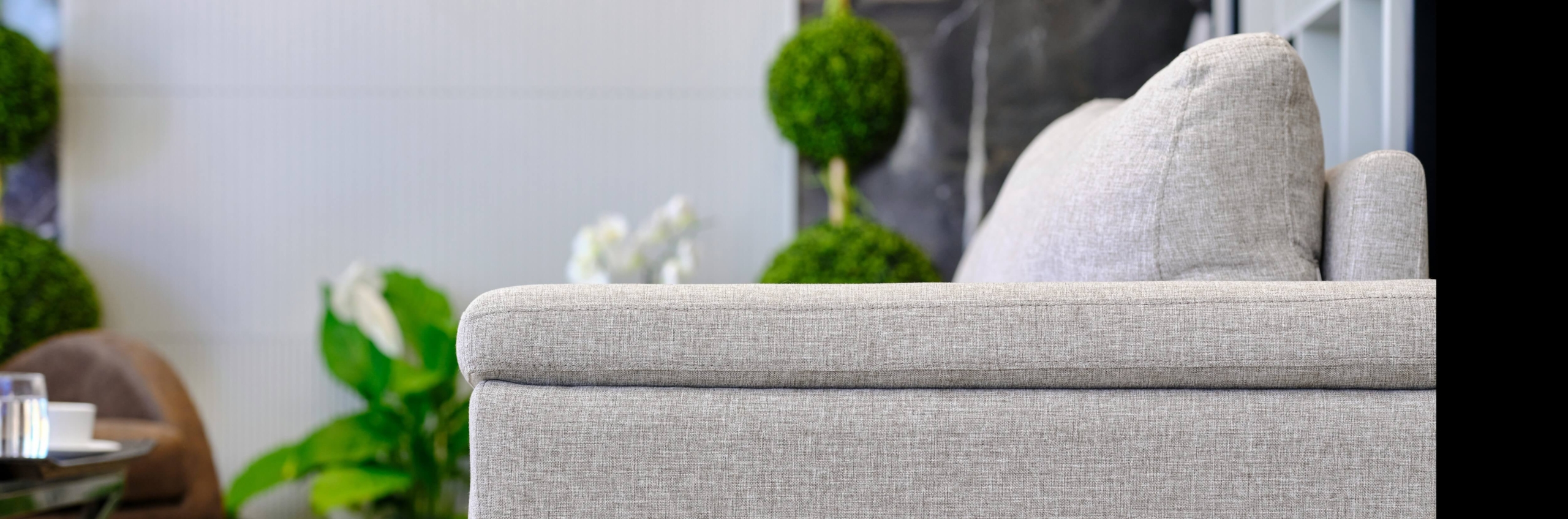 Image: a white couch with a plant in the background